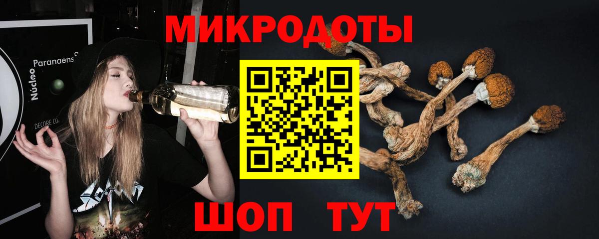 где продают наркотики  Вход с VPN  Ставрополь  Галлюциногенные грибы Magic Shrooms  Псилоцибиновые грибы Psilocybine cubensis 